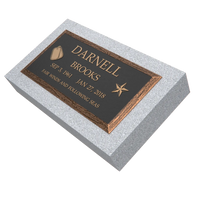 Premium Bronze Plaque  20"x 10"
