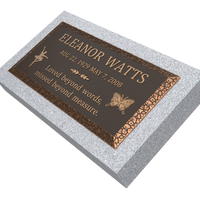 Premium Bronze Plaque 24"x 12"with Granite Base