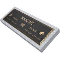 Premium Bronze Plaque 44"x 14" with Granite Base