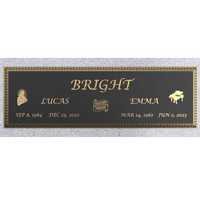 Premium Bronze Plaque 44"x 14" with Granite Base