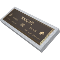 Premium Bronze Plaque 44"x 14"
