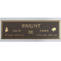 Premium Bronze Plaque 44"x 14" with Granite Base