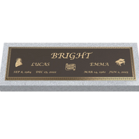 Premium Bronze Plaque 44"x 14"