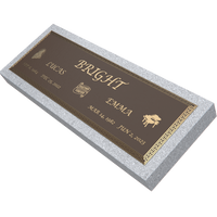 Premium Bronze Plaque 44"x 14" with Granite Base