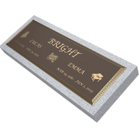 Premium Bronze Plaque 44"x 14"