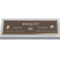 Premium Bronze Plaque 44"x 14" with Granite Base
