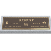 Premium Bronze Plaque 44"x 14"