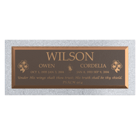 Premium Bronze Plaque 36"x 13" with Granite Base