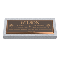 Premium Bronze Plaque 36"x 13" with Granite Base