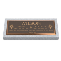 Premium Bronze Plaque 36"x 13"