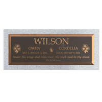 Premium Bronze Plaque 36"x 13" with Granite Base