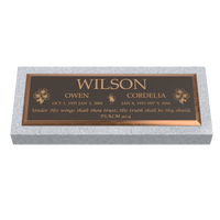 Premium Bronze Plaque 36"x 13" with Granite Base