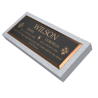 Premium Bronze Plaque 36"x 13"