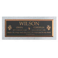 Premium Bronze Plaque 36"x 13" with Granite Base