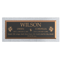 Premium Bronze Plaque 36"x 13"