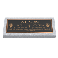 Premium Bronze Plaque 36"x 13" with Granite Base