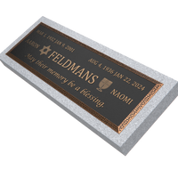 Premium Bronze Plaque 36"x 13" with Granite Base