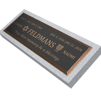 Premium Bronze Plaque 36"x 13"