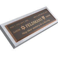Premium Bronze Plaque 36"x 13" with Granite Base