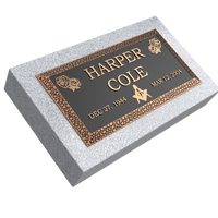 Premium Bronze Plaque 20"x 10" with Granite Base