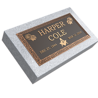 Premium Bronze Plaque 20"x 10" with Granite Base