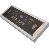 Premium Bronze Plaque 44"x 14" with Granite Base