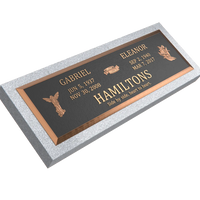 Premium Bronze Plaque 44"x 14"
