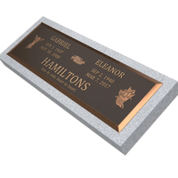 Premium Bronze Plaque 44"x 14"