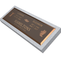 Premium Bronze Plaque 44"x 14" with Granite Base