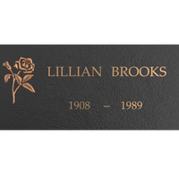 Premium Bronze Plaque 24"x 12"