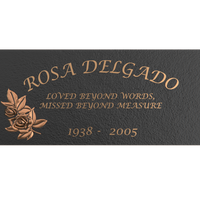 Premium Bronze Plaque 24"x 12"