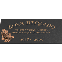 Premium Bronze Plaque 24"x 12"